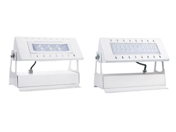 LED Flood Light